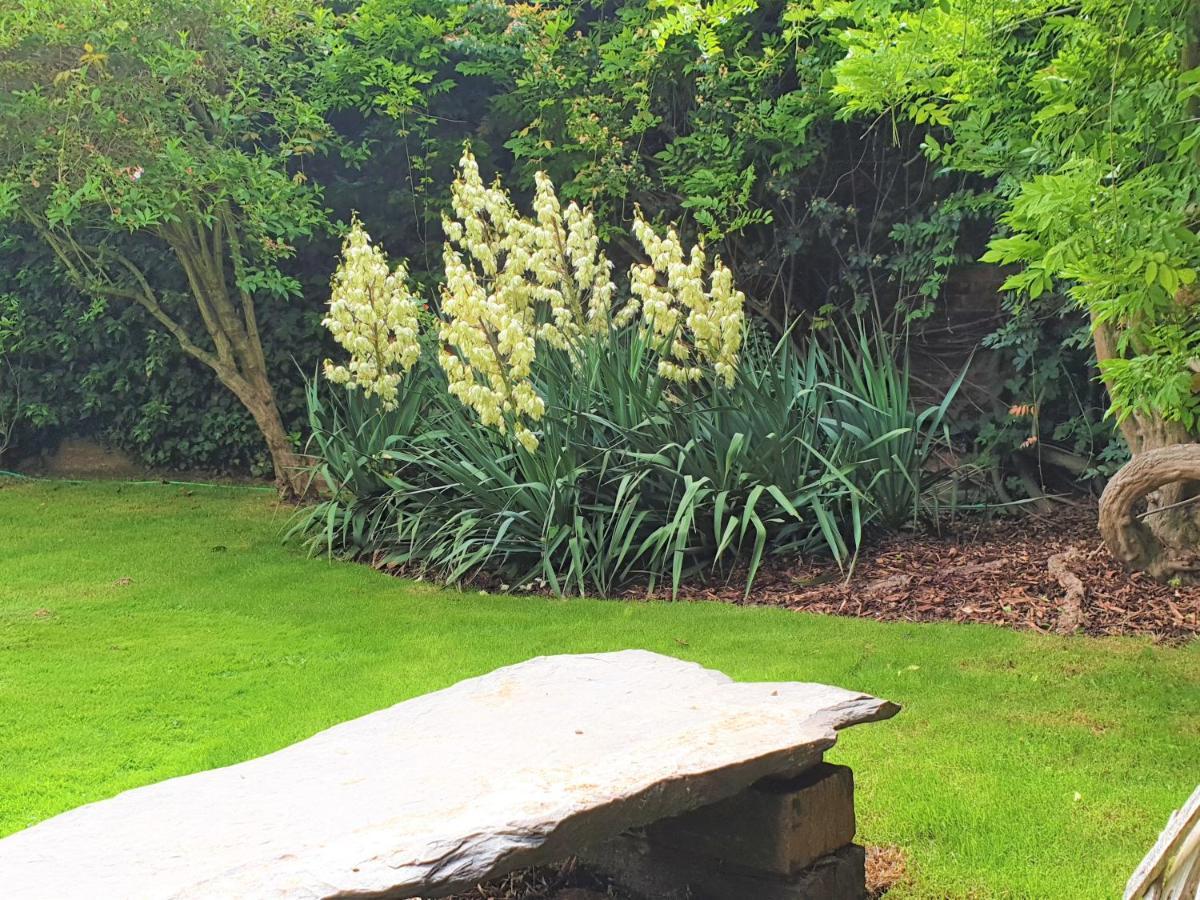 No.42 Kegworth House Bed & Breakfast Derby Bagian luar foto